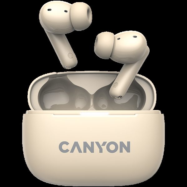 CANYON CNS-TWS10BG