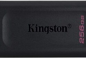 MEM UFD 256GB DTX KIN