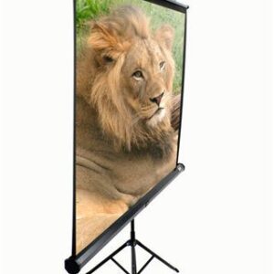 EliteScreens projekcijsko platno sa stalkom 178x178cm