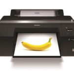 Ploter EPSON SureColor SC-P5000 STD