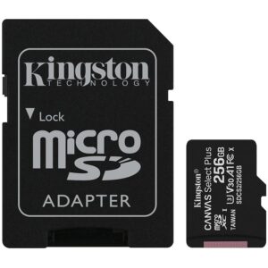 KINGSTON SDCS2/256GB