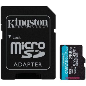 KINGSTON SDCG3/256GB