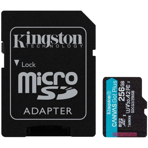 KINGSTON SDCG3/256GB
