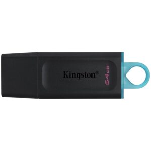 KINGSTON DTX/64GB