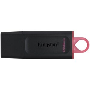 KINGSTON DTX/256GB