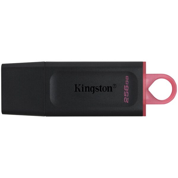 KINGSTON DTX/256GB