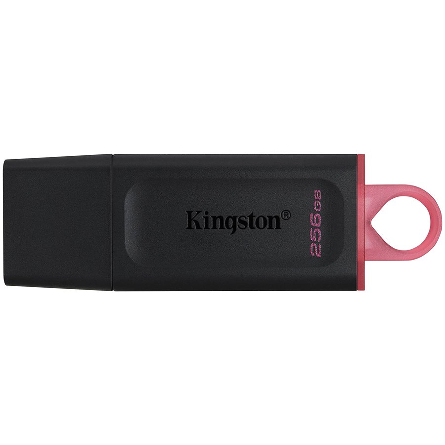 KINGSTON DTX/256GB