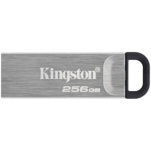 KINGSTON DTKN/256GB