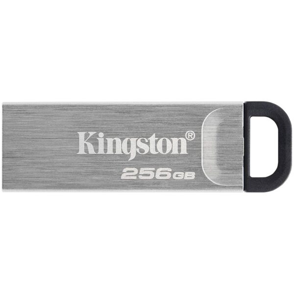 KINGSTON DTKN/256GB
