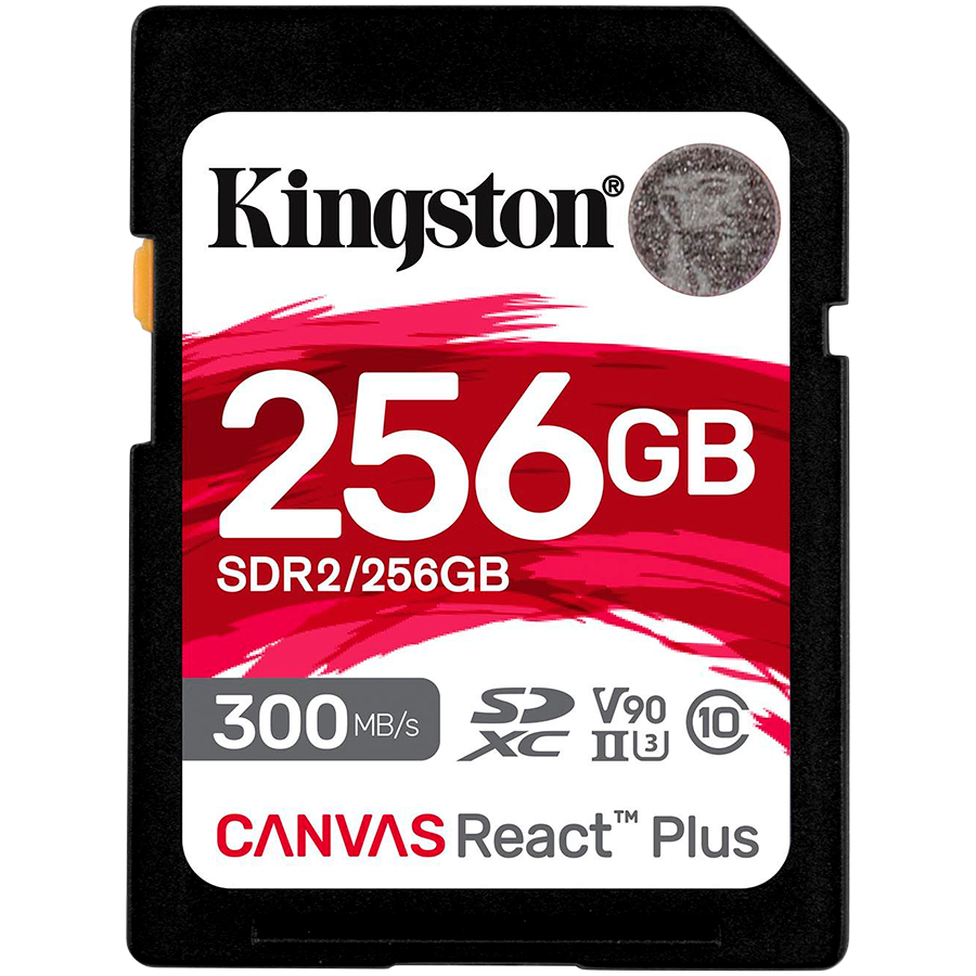 KINGSTON SDR2/256GB