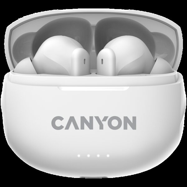 CANYON CNS-TWS8W