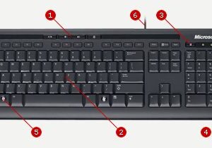 Microsoft Wired Keyboard 600 Black