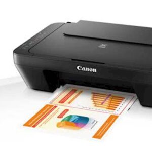 MFP CANON Pixma MG2556s GREY