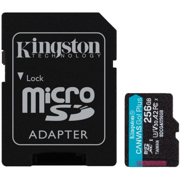 KINGSTON SDCG4/256GB