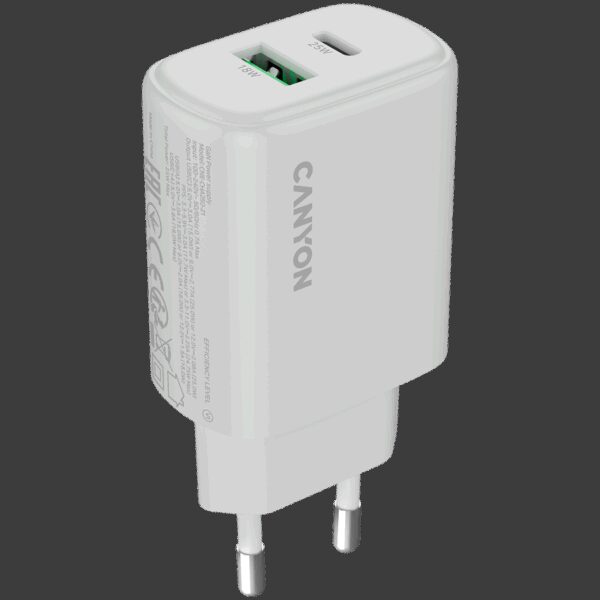 CANYON CNE-CHA250-21