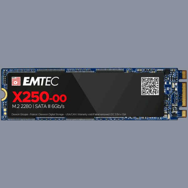 EMTEC ECSSD256GX250