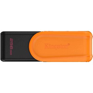 KINGSTON DTXS/256GB