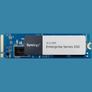 SYNOLOGY SNV5420-800G