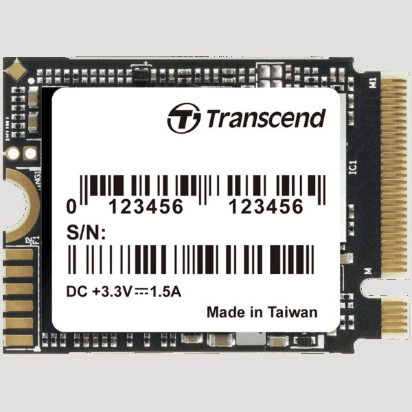 TRANSCEND TS1TMTE310S