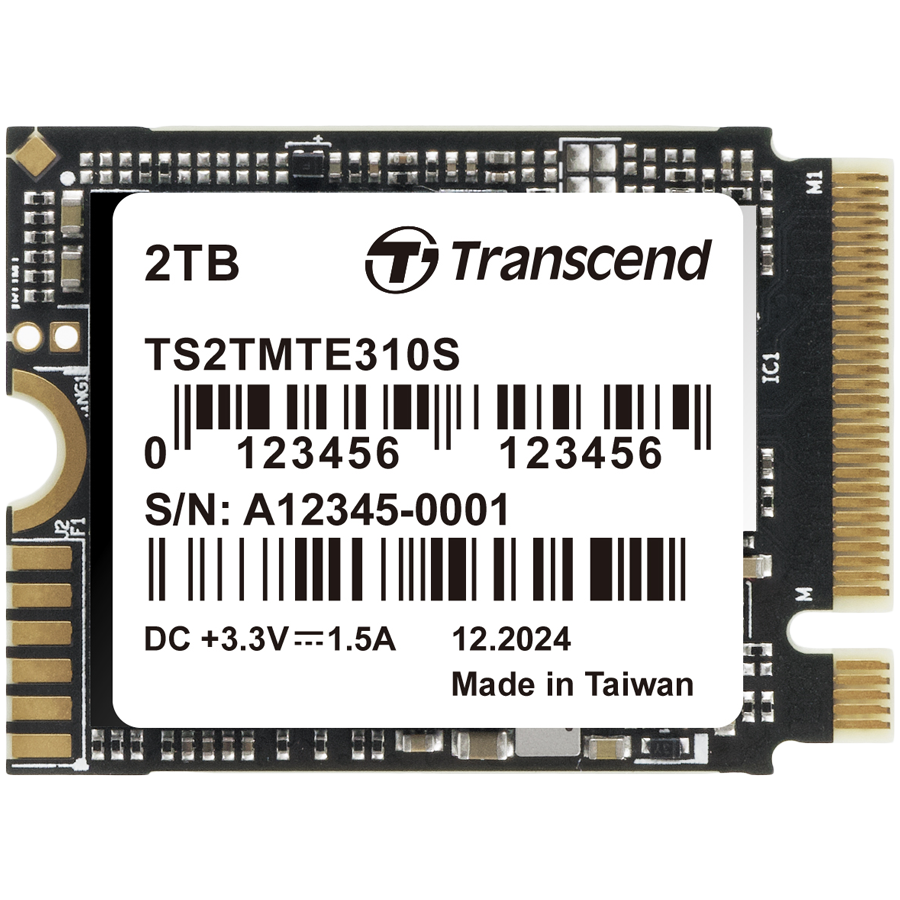 TRANSCEND TS2TMTE310S