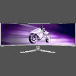 PHILIPS 49M2C8900L/00