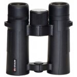 Dvogled BRAUN COMPAGNO 8x34WP