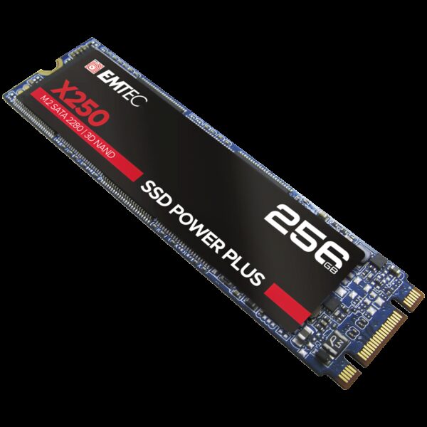 EMTEC ECSSD256GX250