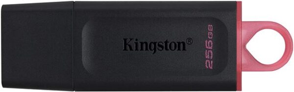 MEM UFD 256GB DTX KIN MEM UFD 256GB DTX KIN