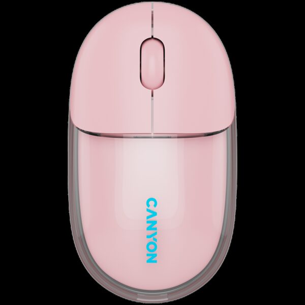CANYON CNS-CMSW24P