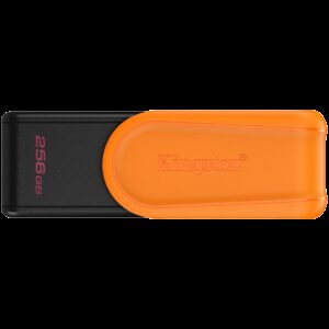 KINGSTON DTXS/256GB