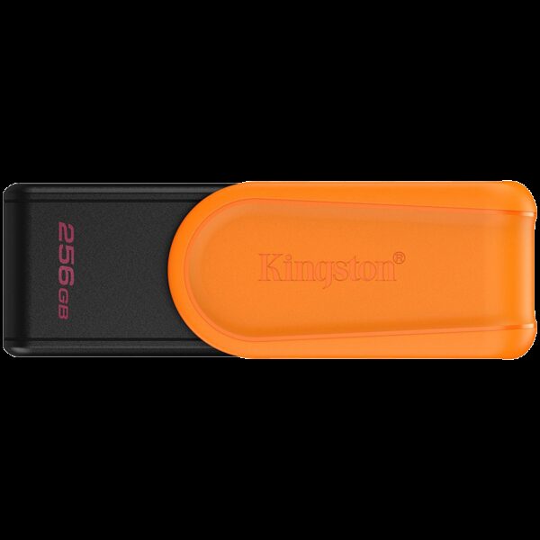 KINGSTON DTXS/256GB KINGSTON DTXS/256GB
