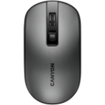 CANYON MW-18