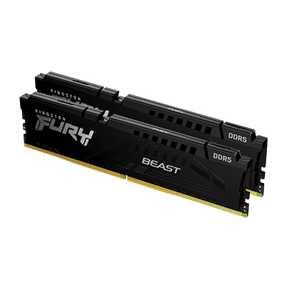 Kingston 32GB 5600MHz DDR5Fury Beast (2x16GB)