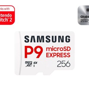 Samsung Micro SD 256GB ExpressP9