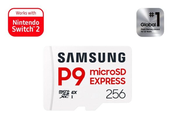 Samsung Micro SD 256GB ExpressP9